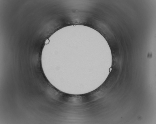 X0000092000317200709271513