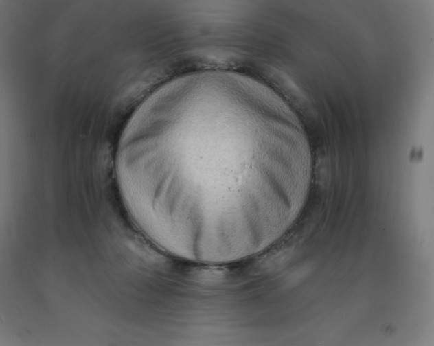 X0000092000318200709271513