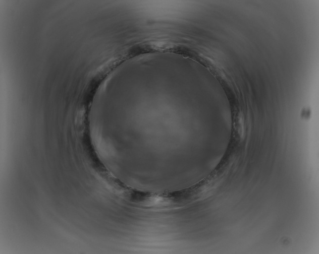 X0000092000319200709271513