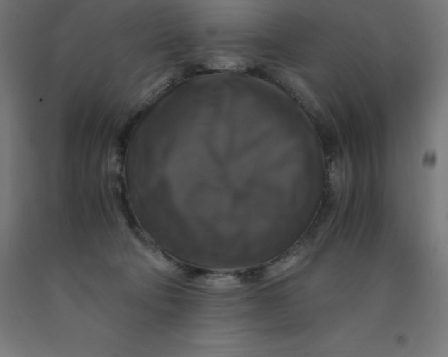 X0000092000322200709271513