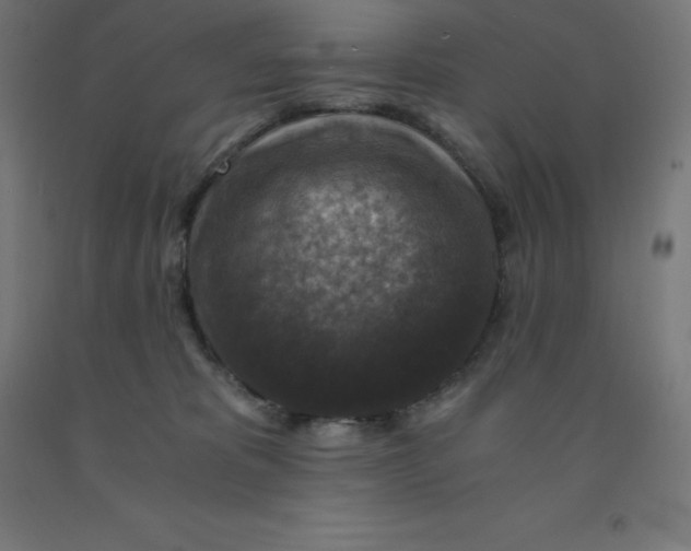 X0000092000325200709271513