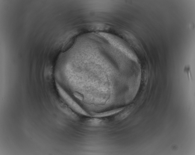 X0000092000326200709271513