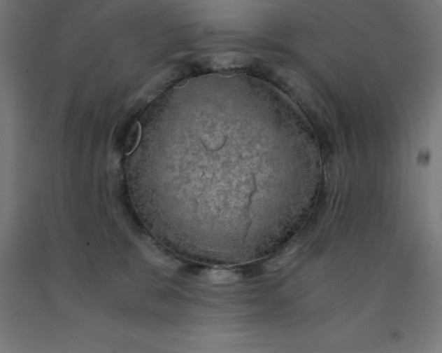 X0000092000327200709271513