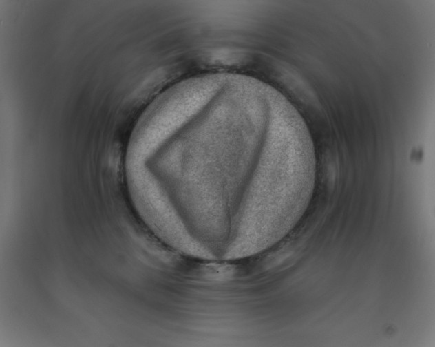 X0000092000328200709271513