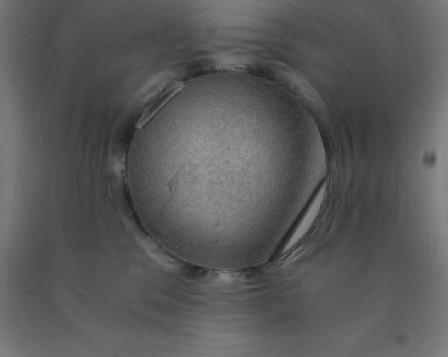 X0000092000329200709271513