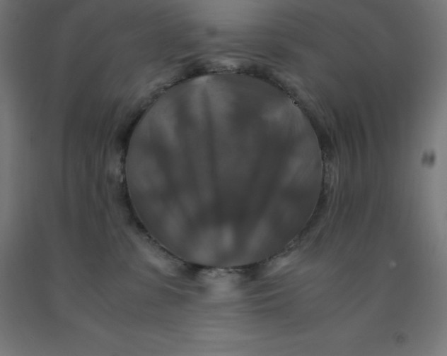 X0000092000331200709271513