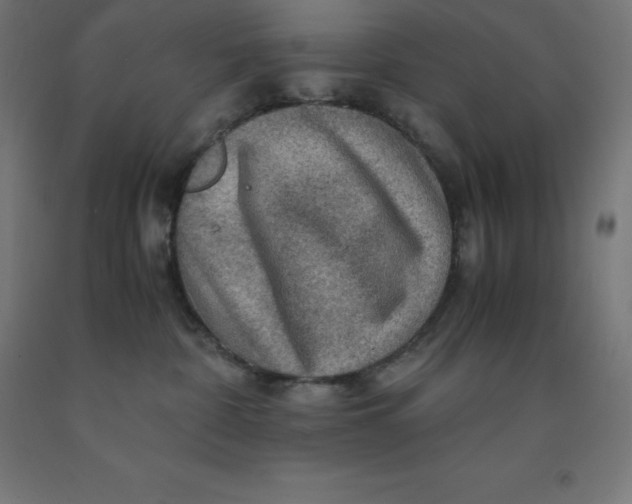 X0000092000332200709271513