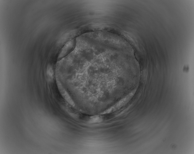 X0000092000335200709271513