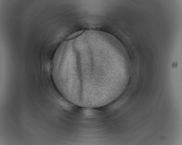 X0000092000336200709271513