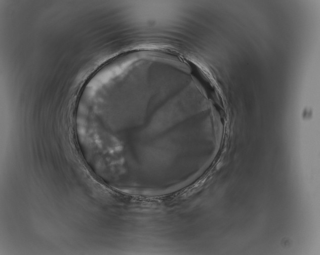 X0000092000337200709271513