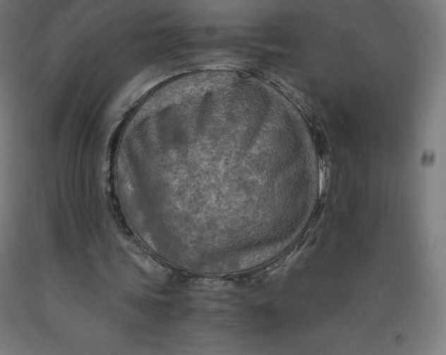 X0000092000339200709271513