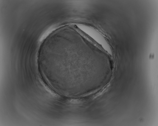 X0000092000341200709271513