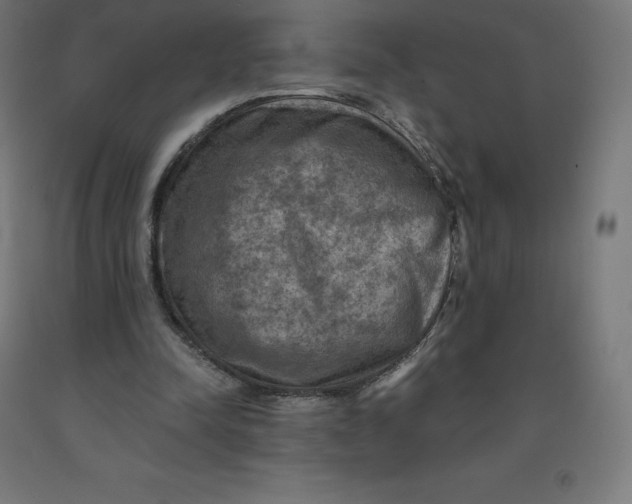 X0000092000342200709271513