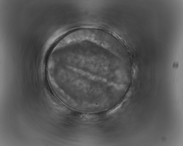 X0000092000343200709271513