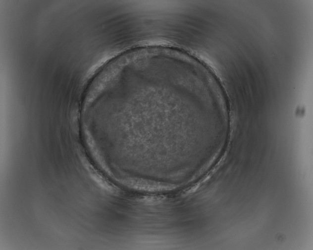 X0000092000345200709271513