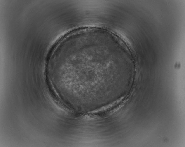 X0000092000346200709271513