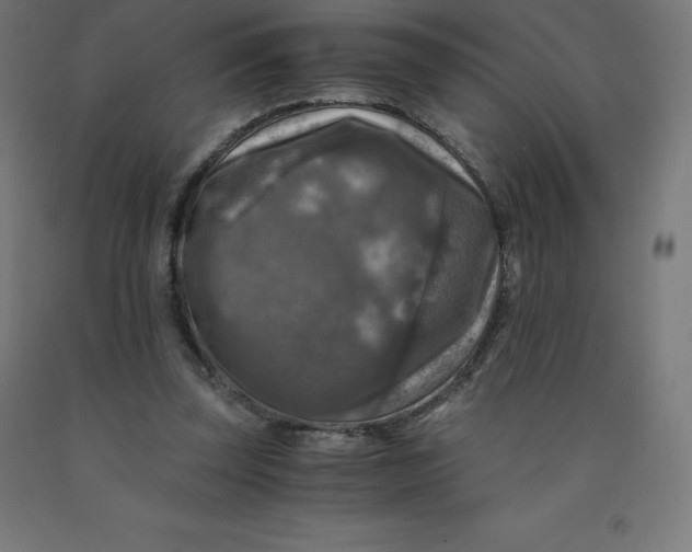 X0000092000347200709271513