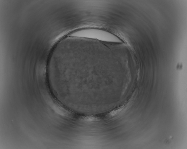 X0000092000348200709271513