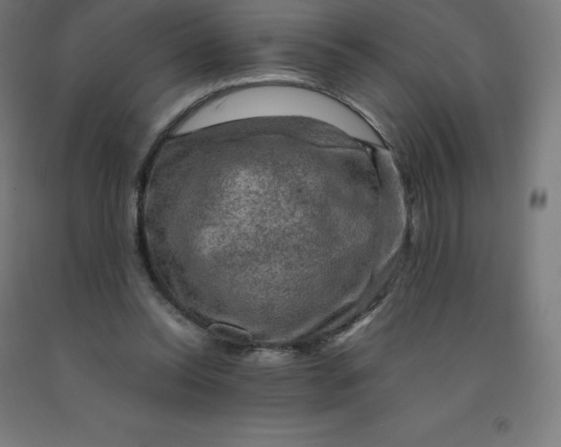 X0000092000350200709271513