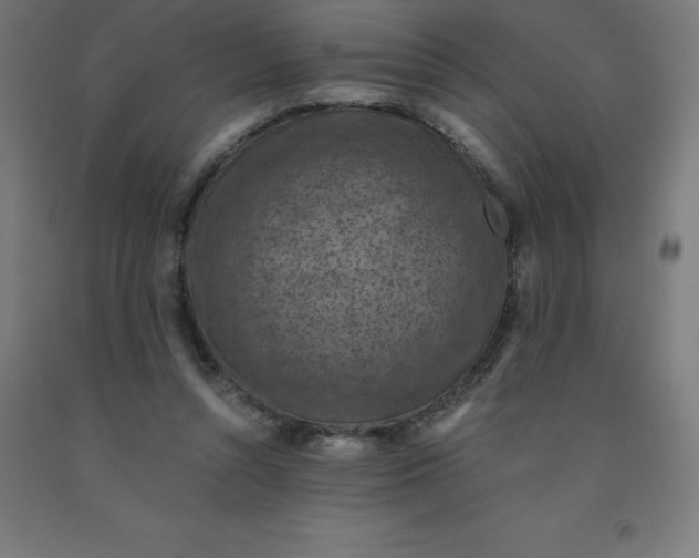 X0000092000352200709271513