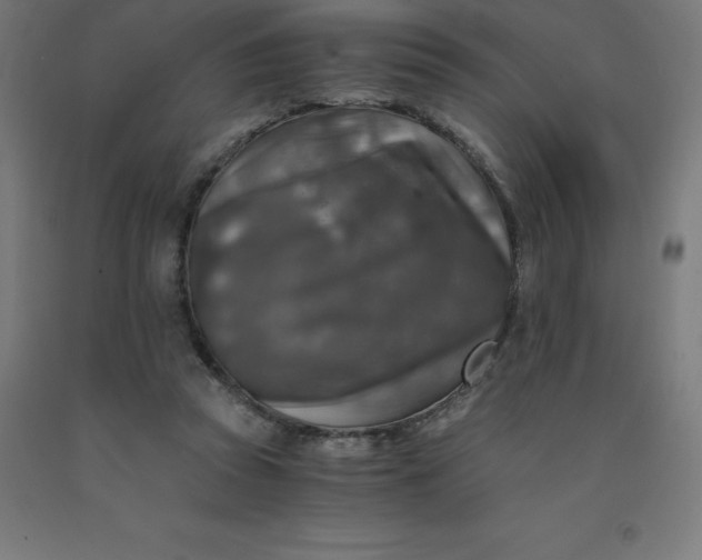 X0000092000353200709271513