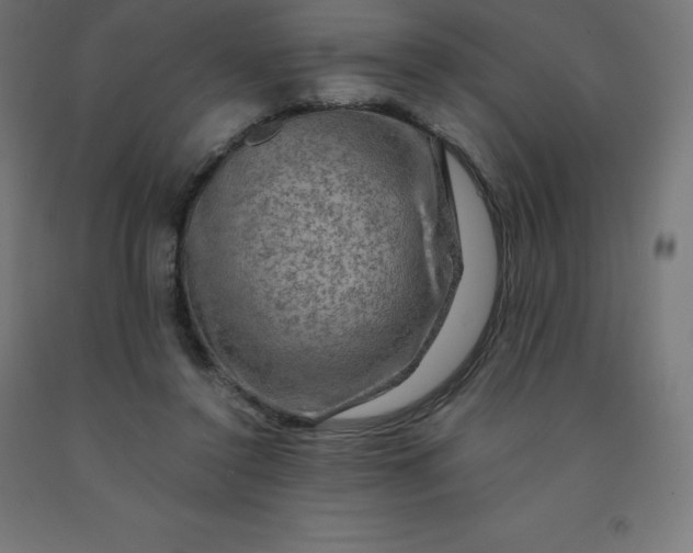 X0000092000356200709271513