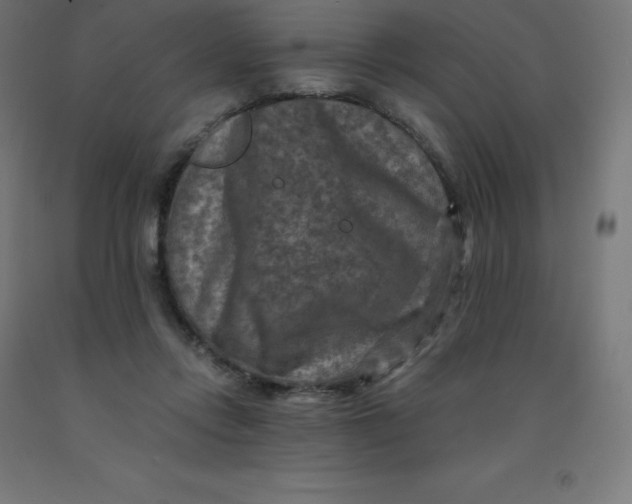 X0000092000358200709271513