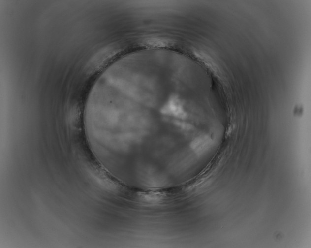 X0000092000359200709271513