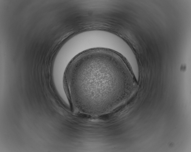 X0000092000360200709271513