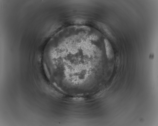 X0000092000363200709271513