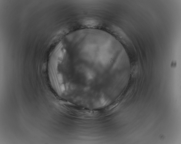 X0000092000365200709271513