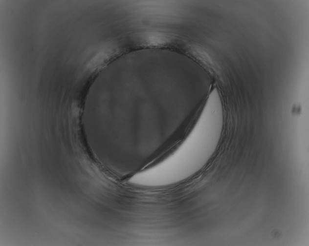 X0000092000366200709271513