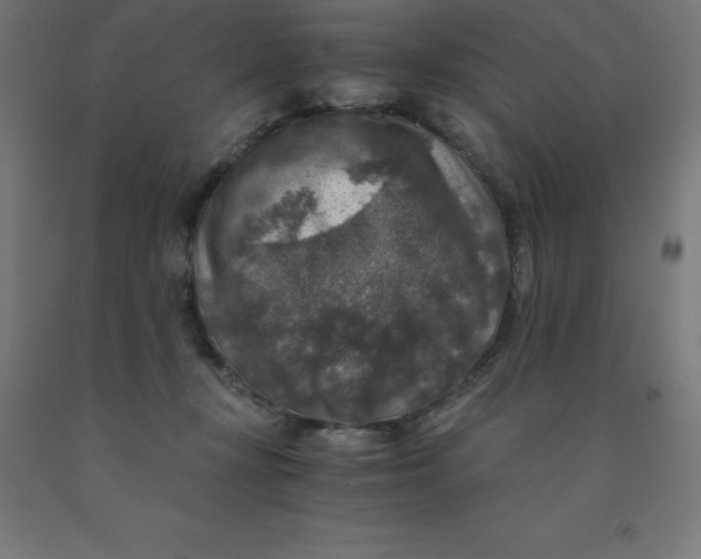 X0000092000367200709271513