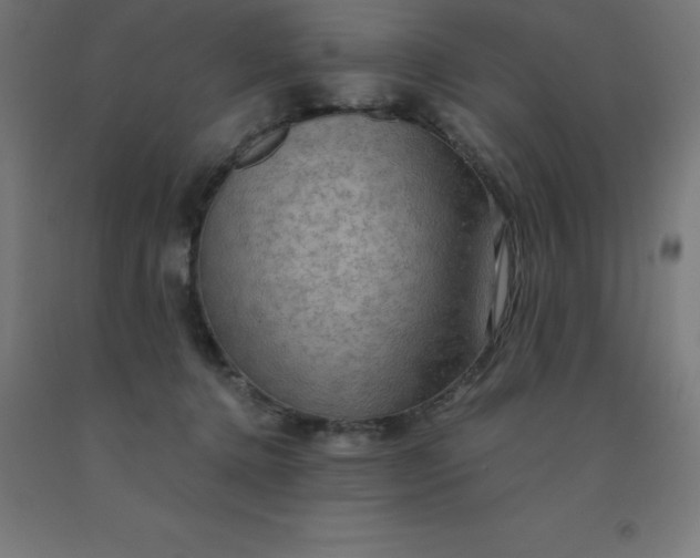 X0000092000368200709271513