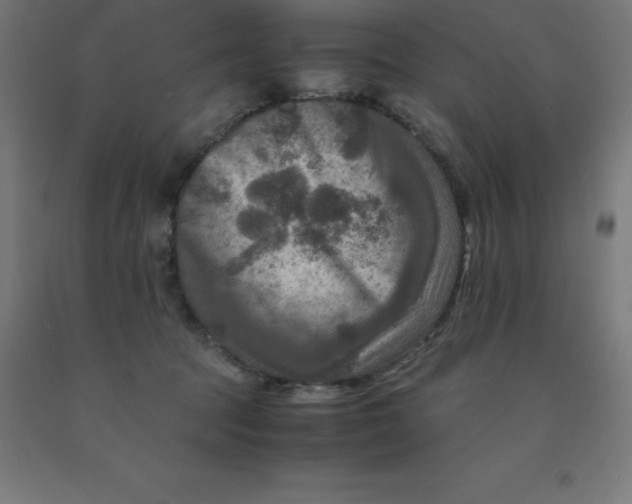 X0000092000369200709271513