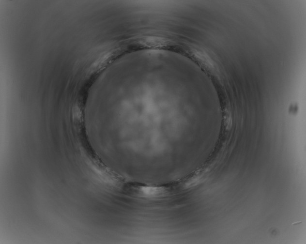 X0000092000371200709271513