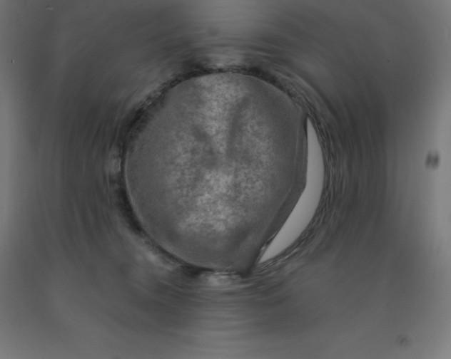 X0000092000372200709271513