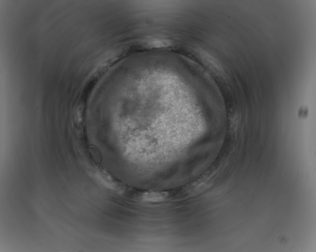 X0000092000373200709271513