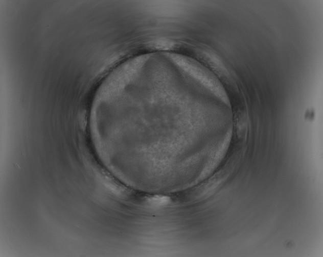 X0000092000374200709271513