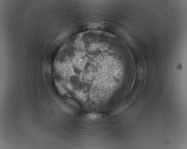 X0000092000375200709271513