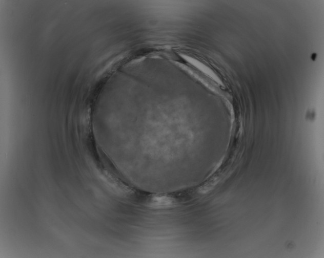 X0000092000376200709271513