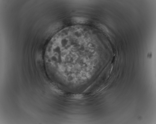 X0000092000377200709271513