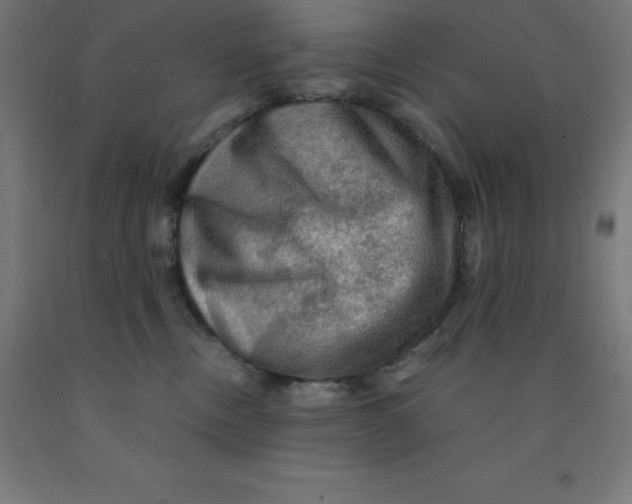 X0000092000378200709271513