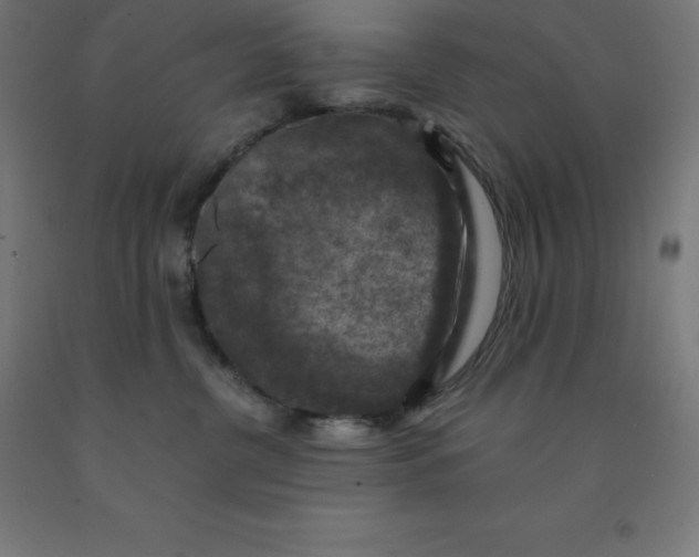 X0000092000380200709271513