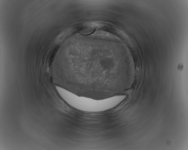 X0000092000381200709271513