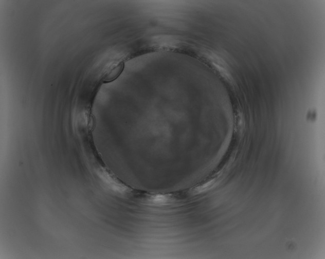 X0000092000382200709271513