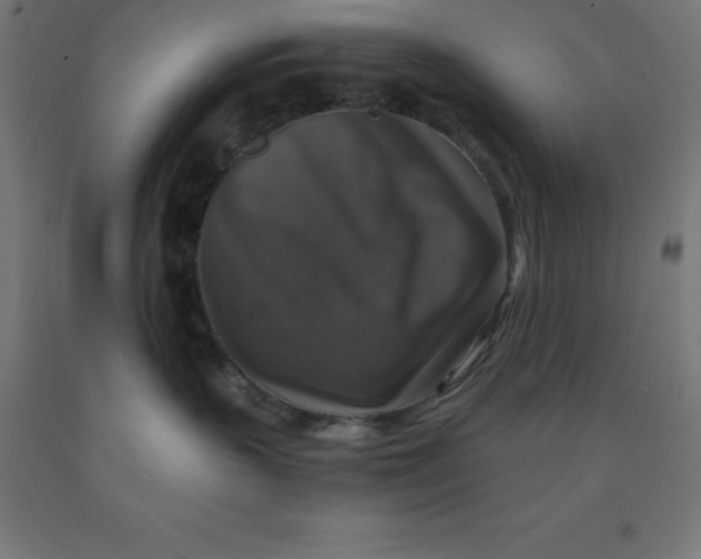 X0000092000383200709271513