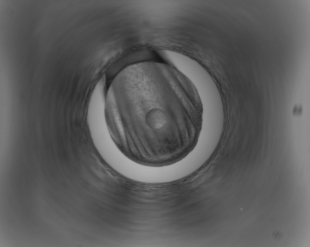 X0000092000384200709271513