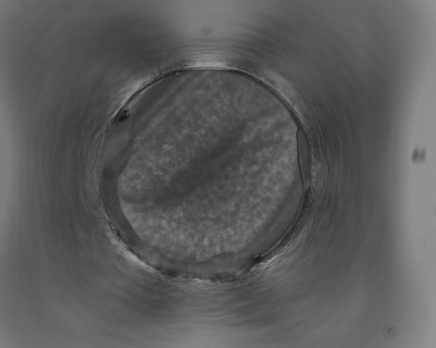 X0000092000385200709271513