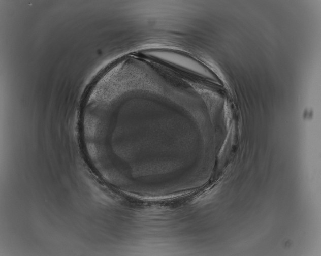 X0000092000387200709271512